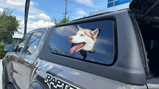 DUAL - FUNCTION SIDE WINDOW FOR VENTURE CANOPY